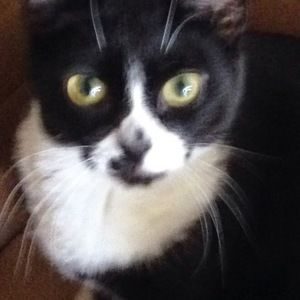 Meet your Posher, Edna